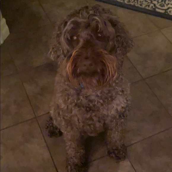 Meet your Posher, Dana - Picture 1 of 1